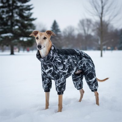 Manteau chien sur notre ami marche sur neige
