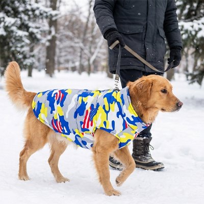 Manteau chien sur notre ami sous la neige