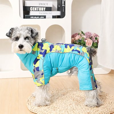 Manteau pour chien bleu sur notre compagnon 