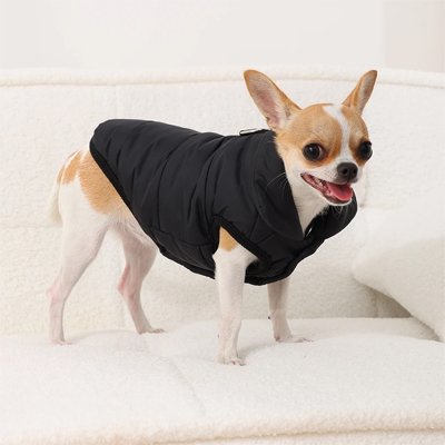 Manteau pour chien noir sur notre toutou