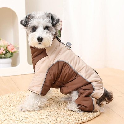 Manteau pour chien sur notre toutou assis 
