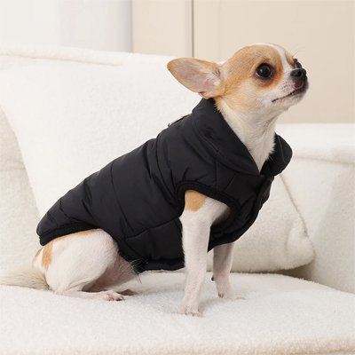 Manteau pour chien sur notre toutou