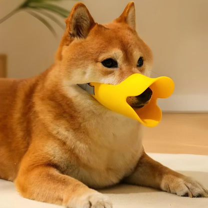 Muselière chien sur notre toutou allonge