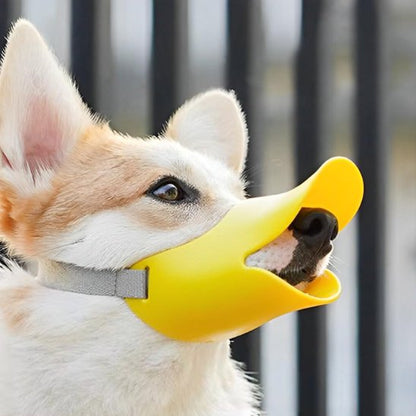 Muselière chien sur notre toutou