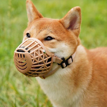 Muselière pour chien rose sur notre toutou