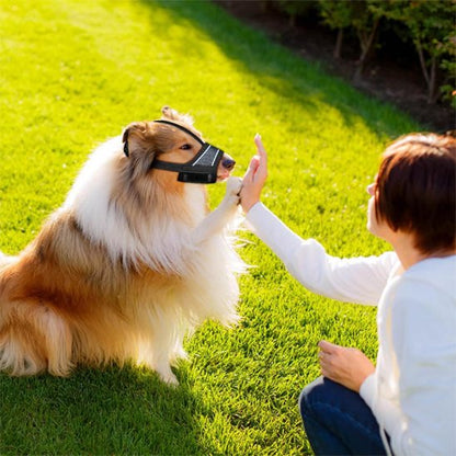 Muselière pour chien sur notre ami avec sa maitresse