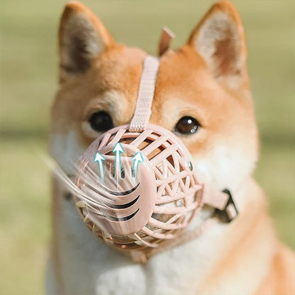 Muselière pour chien sur notre toutou