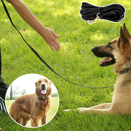 longe pour chien | Skaylar™