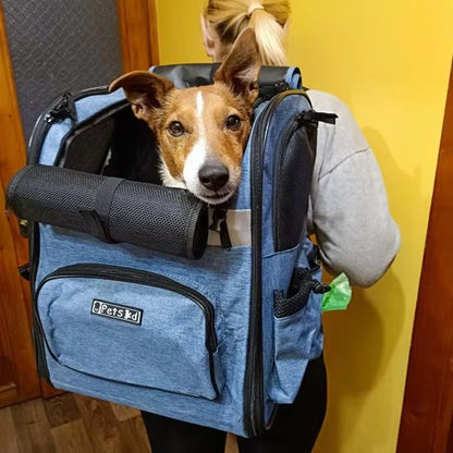 Notre ami de sortie dans sac de transport pour chien