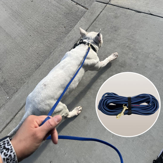 longe pour chien | Skaylar™