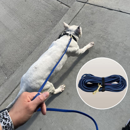 longe pour chien | Skaylar™