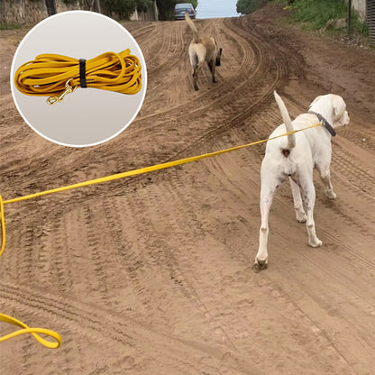 longe pour chien | Skaylar™