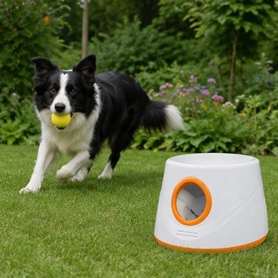 Notre compagnon court vers lanceur de balle pour chien