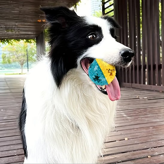 Notre compagnon grincer ses dents avec Jouet pour chien