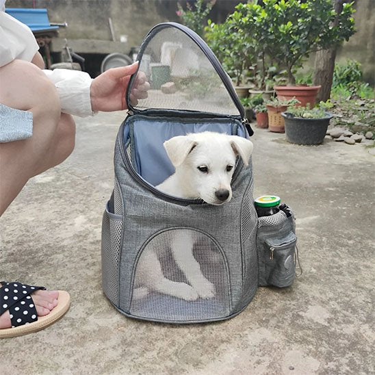 Sac à dos pour chien avec notre compagnon                                                                                                            