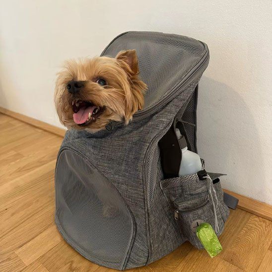 Sac à dos pour chien gris foncé avec notre ami