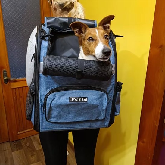 Sac de transport pour chien avec notre toutou en balade