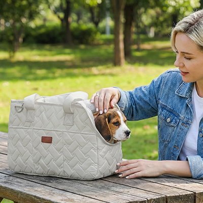 Sac de transport pour chien avec toutou son maitre