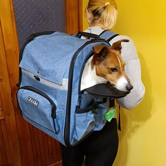 Sac de transport pour chien bleu avec notre toutou