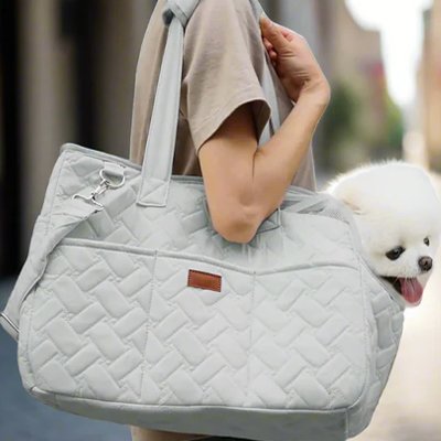 Sac de transport pour chien gris avec toutou sa maitresse