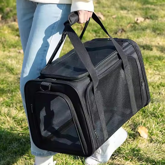 Sac de transport pour chien noir voyage