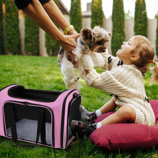 Sac de transport pour chien rose et compagnons